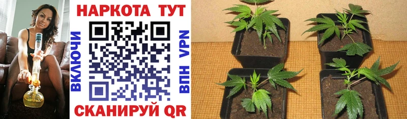 Все наркотики Россошь Кокаин  Alpha PVP  Марихуана  КЕТАМИН  Меф  Амфетамин 
