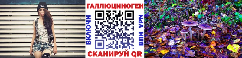 Псилоцибиновые грибы Psilocybine cubensis Россошь