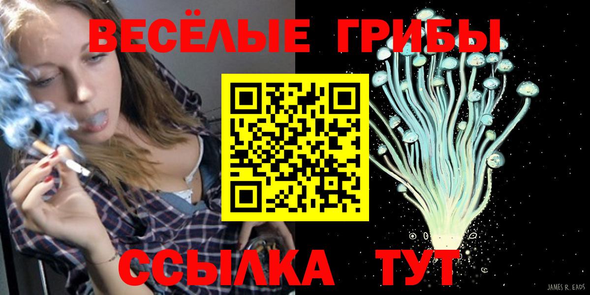 Псилоцибиновые грибы Cubensis  Вход с VPN  Россошь  Псилоцибиновые грибы Psilocybine cubensis 