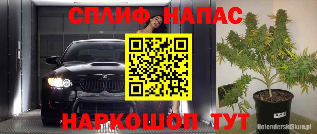 Каннабис сатива Россошь